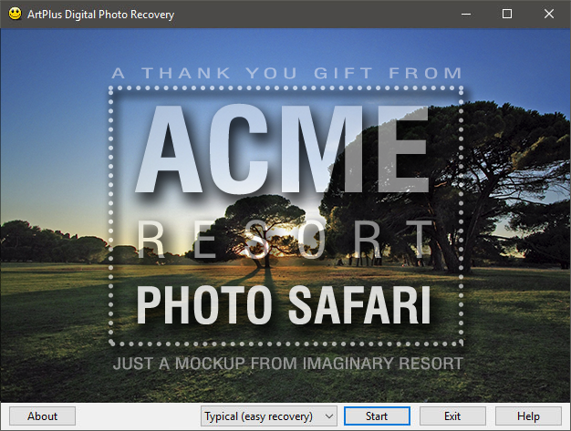 Digital Photo Recovery - Customized Mockup